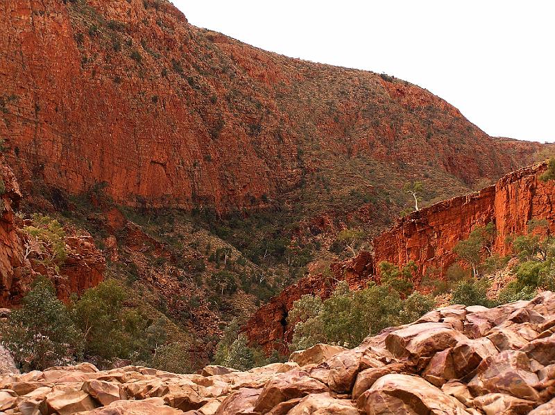 Ormiston Gorge2.jpg - Die Ormiston Schlucht. West MacDonnell Range